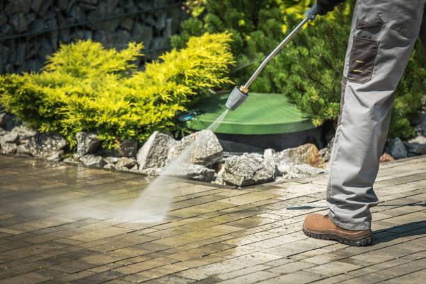 Best Soft Washing  in Northfield, NJ