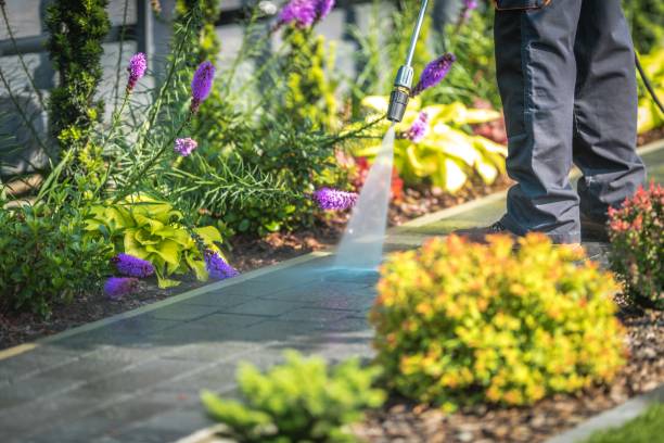 Best Sidewalk and Walkway Cleaning  in Northfield, NJ